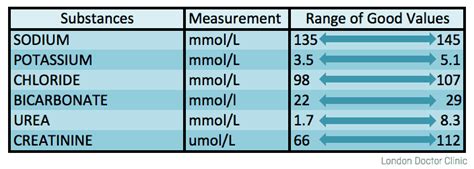 u and e blood test|what is urea and electrolytes.